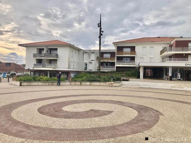 Appartement 1 pièce 37 m²