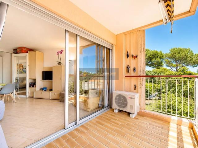 Appartement 1 pièce 30 m²