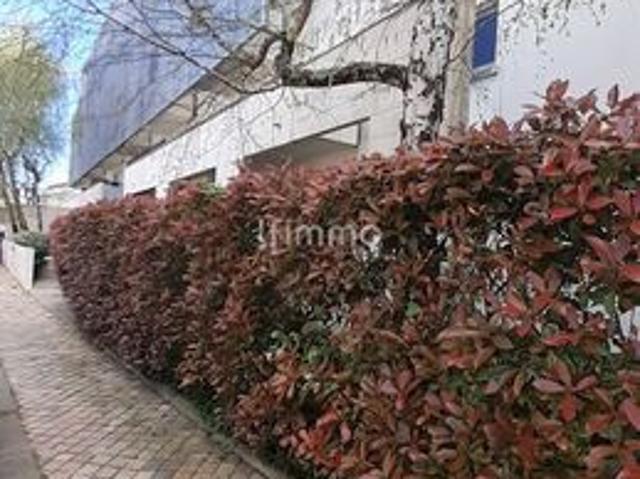 Appartement 1 pièce 30 m²