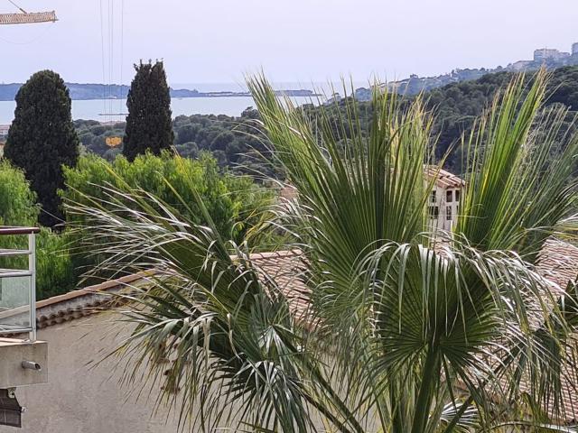 Appartement 1 pièce, 30 m² à louer à Antibes 06160