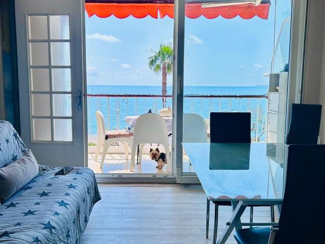 Appartement 1 pièce, 30 m² à louer à Cagnes sur Mer 06800