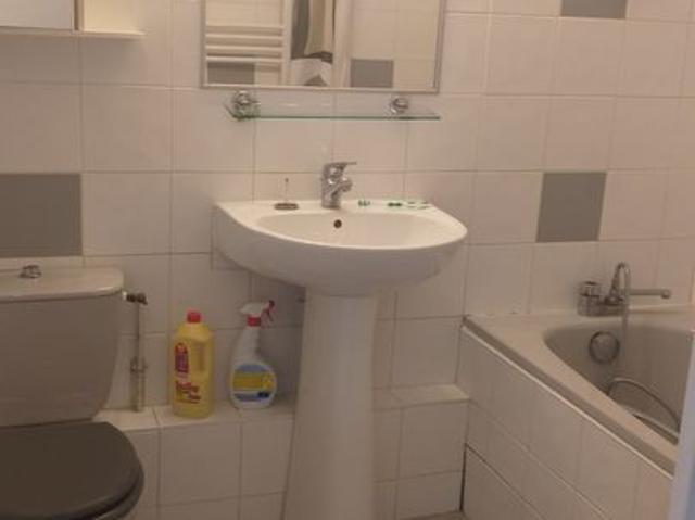 Appartement 1 pièce, 30 m² à louer à Lyon 7 69007