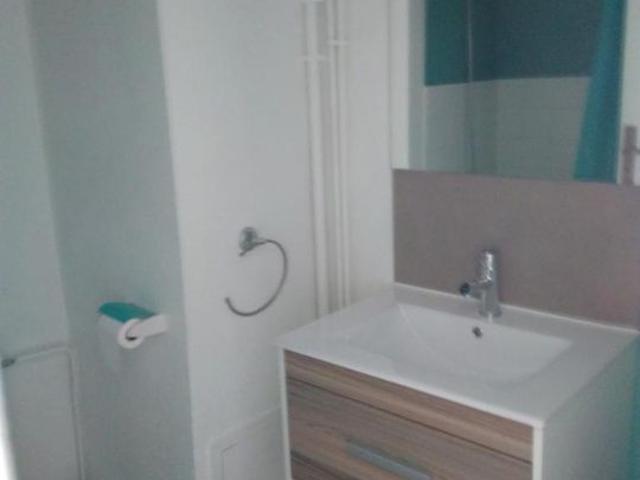 Appartement 1 pièce, 30 m² à louer à Saint Étienne 42000