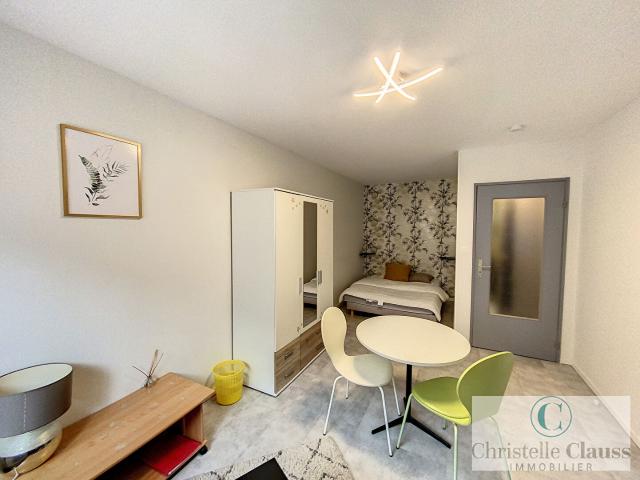 Appartement 1 pièce, 30 m² à louer à Thann 68800