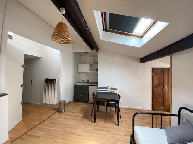 Appartement 1 pièce 30 m² VIENNE 38200