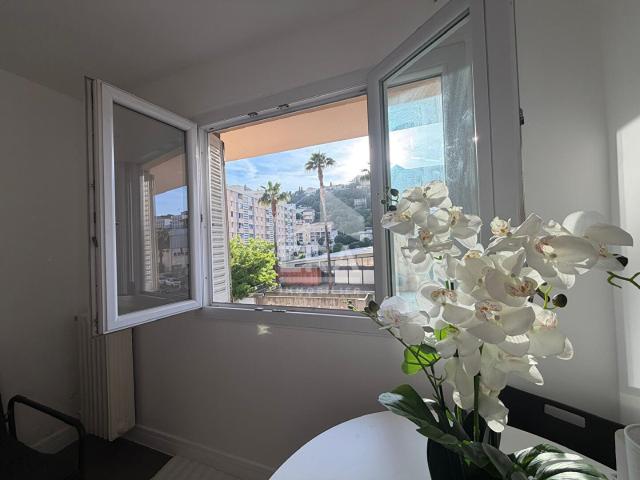 Appartement 1 pièce 31 m²