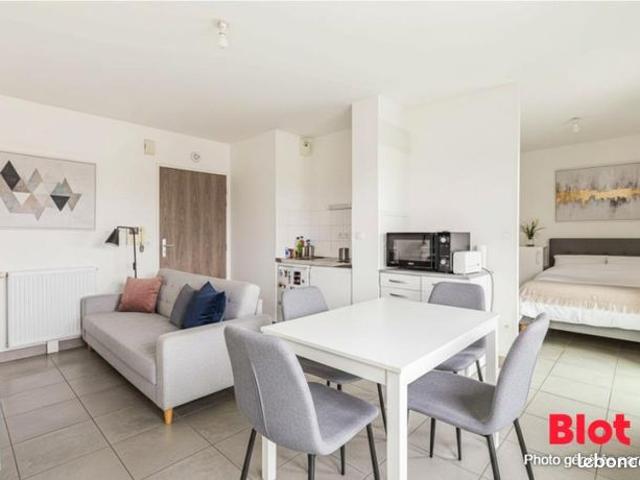 Appartement 1 pièce 31 m²