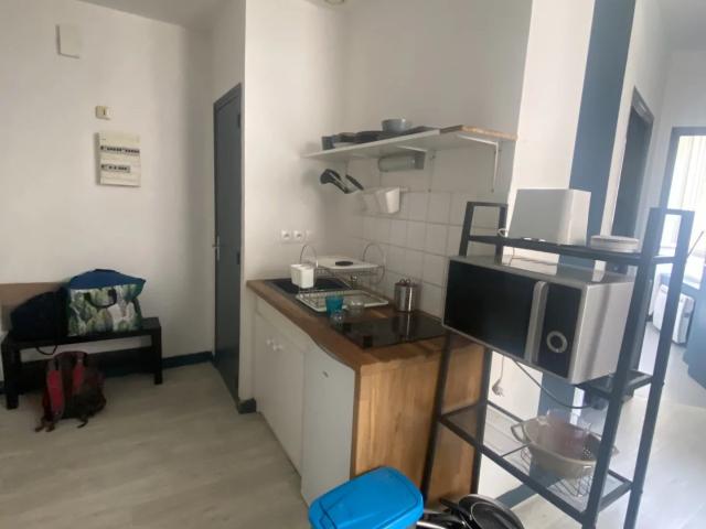 Appartement 1 pièce 31 m²