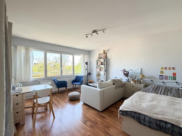 Appartement 1 pièce 31 m²