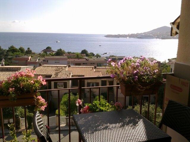Appartement 1 pièce, 31 m² à louer à Ajaccio 20090