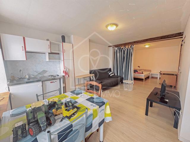 Appartement 1 pièce, 32 m² à louer à Château Salins 57170
