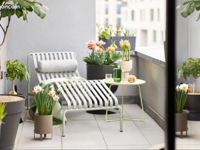 Appartement 1 pièce 33 m²