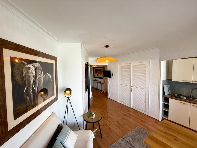 Appartement 1 pièce 33 m²