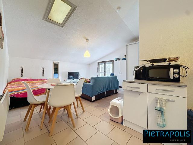 Appartement 1 pièce 33 m²