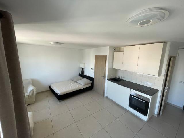 Appartement 1 pièce, 33 m² à louer à Annemasse 74100