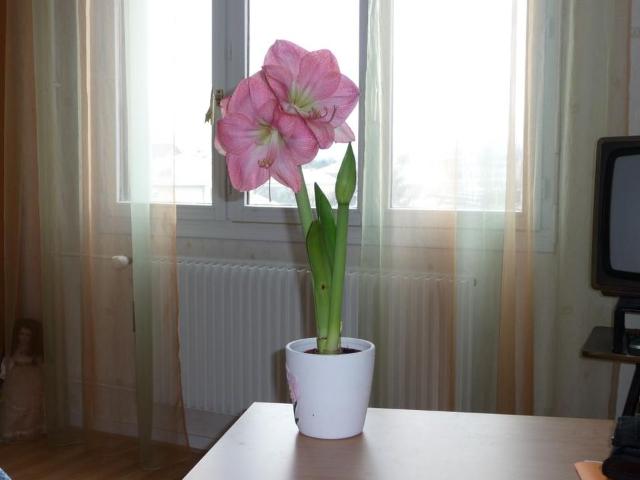 Appartement 1 pièce, 33 m² à louer à Besançon 25000