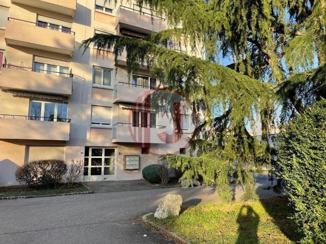 Appartement 1 pièce, 33 m² à louer à Illzach 68110