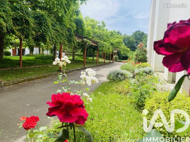 Appartement 1 pièce 44 m²