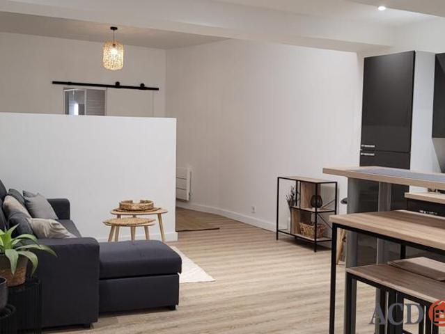 Appartement 1 pièce 45 m²