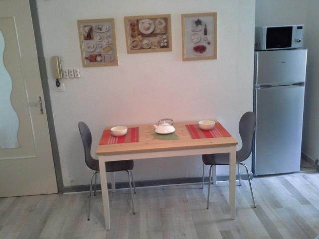 Appartement 1 pièce, 46 m² à louer à Grenoble 38000