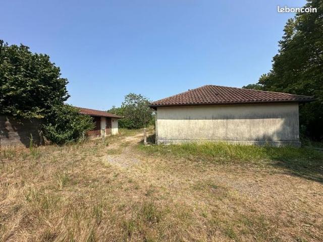 Appartement 1 pièce 48 m²