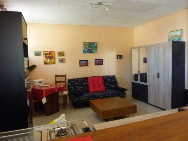 Appartement 1 pièce 40 m²