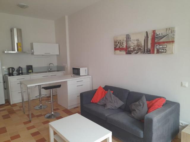Appartement 1 pièce, 40 m² à louer à Nantes 44000