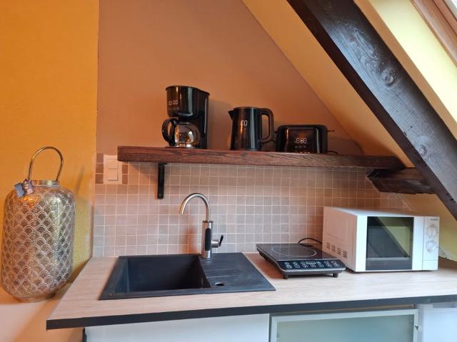 Appartement 1 pièce, 40 m² à louer à Cassaniouze 15340