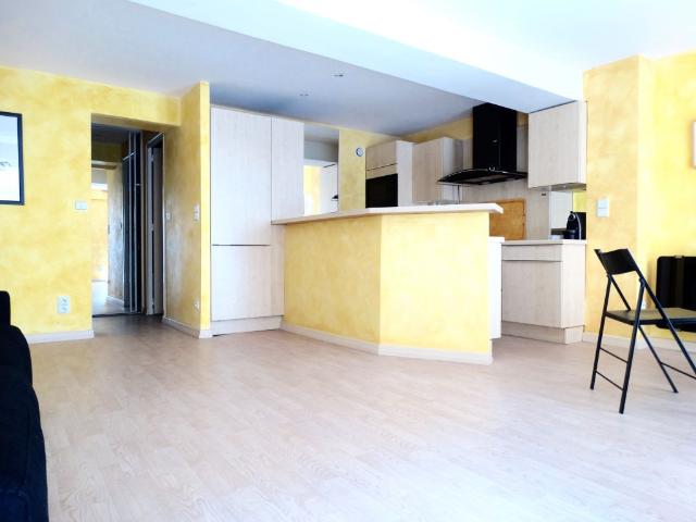 Appartement 1 pièce, 40 m² à louer à Lyon 1 69001