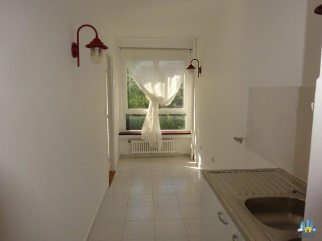 Appartement 1 Pièce 41 m²