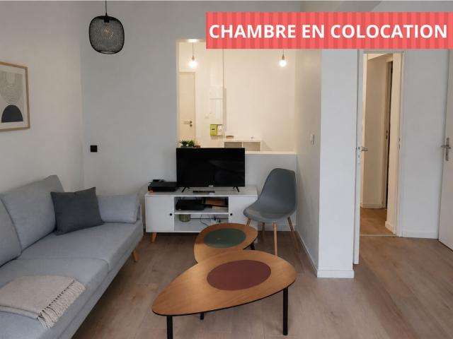 Appartement 1 pièce