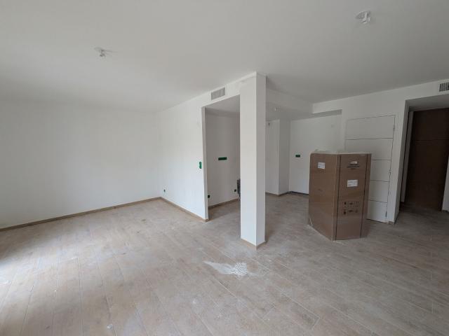 Appartement 1 pièce, 57 m² à louer à Andrézieux Bouthéon 42160