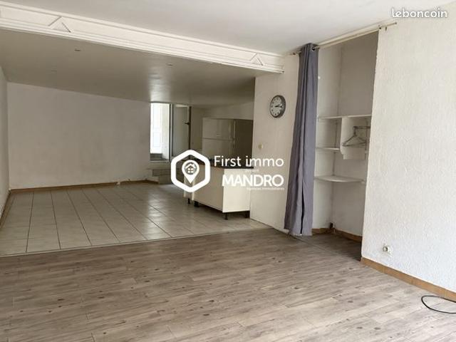 Appartement 1 pièce 50 m²
