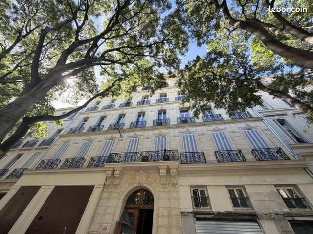 Appartement 1 pièce 85 m²