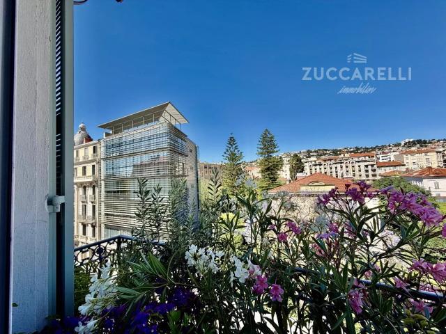 Appartement 1 pièce, 88 m² à louer à Nice 06000