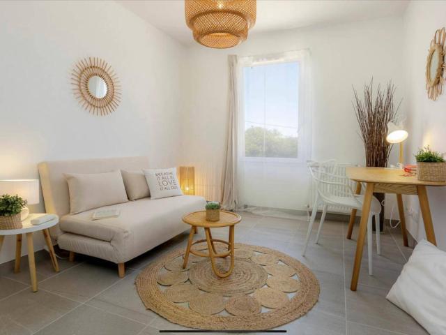 appartement 1 pièce