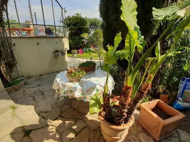 Appartement 1 pièce, 9 m² à louer à Vallauris 06220