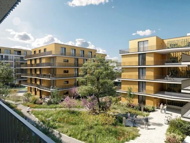 Appartement 1,5 pièces neuf à louer à Renens