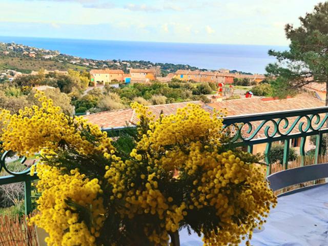 Appartement 2/3 pièces à vendre avec vue mer dégagée aux Issambres