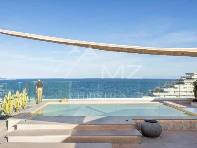 Appartement 242 m2 Villeneuve Loubet