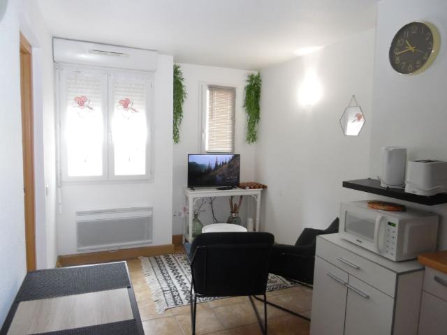 Appartement 25.31 m² 2 Pièces Amélie Les Bains Palalda 66110
