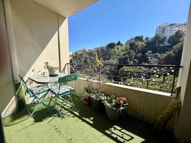 Appartement 2 chambre s à vendre