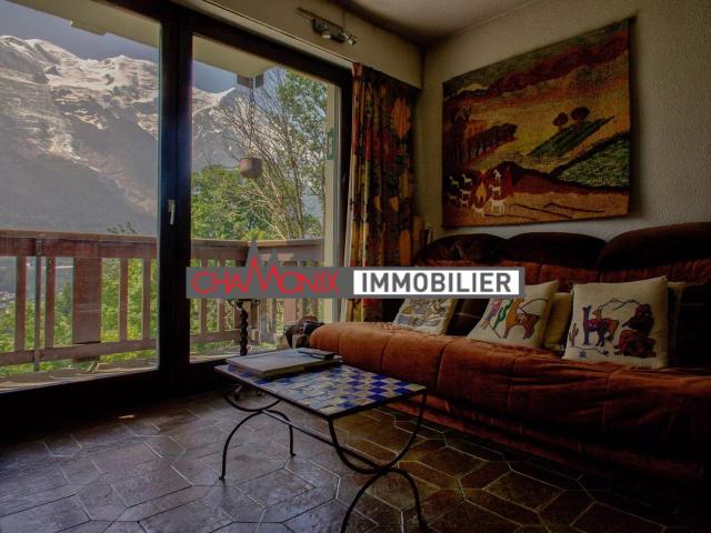 Appartement 2 chambres à Chamonix avec vue imprenable 51m² Chamonix Mont Blanc
