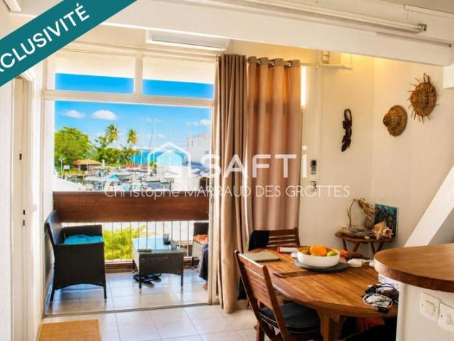 Appartement 2 chambres à la Marina à la pointe du bout