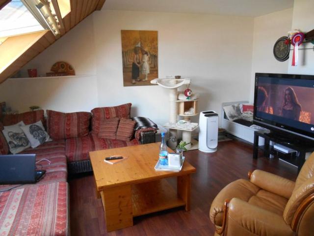 APPARTEMENT 2 pièce s 37m²