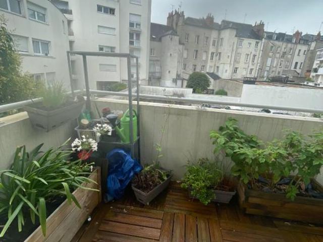 Appartement 2 pièces, 43 m² à louer à Tours 37000