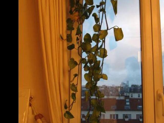 Appartement 2 pièces, 40 m² à louer à Paris 11 75011