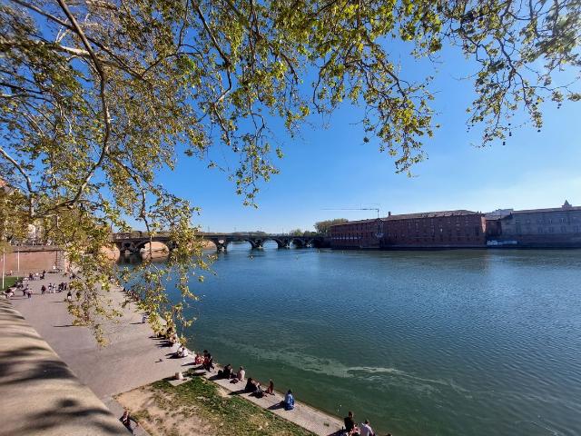 Appartement 2 Pieces 47 m2 toulouse
