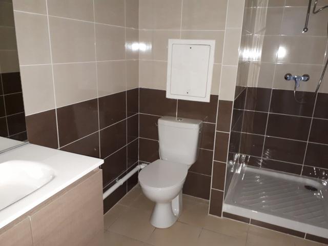 Appartement 2 pièces, 47 m² à louer à Lyon 9 69009
