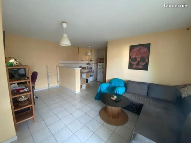 Appartement 2 pièces 45 m²